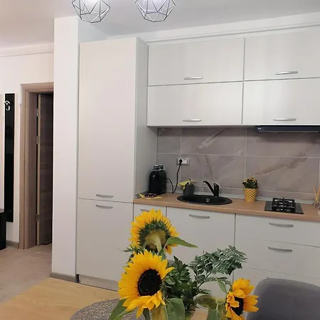 Alesea Ap-alezzi Beach Năvodari